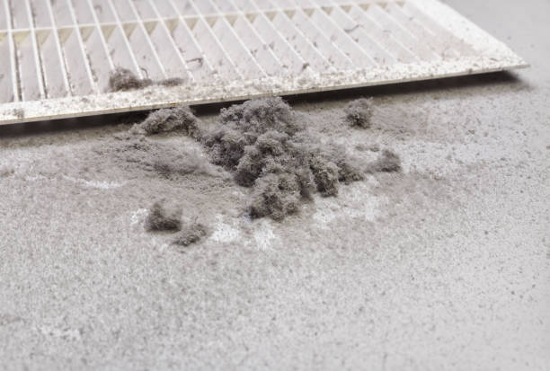 Best Affordable Air Duct Cleaning  in Talty, TX
