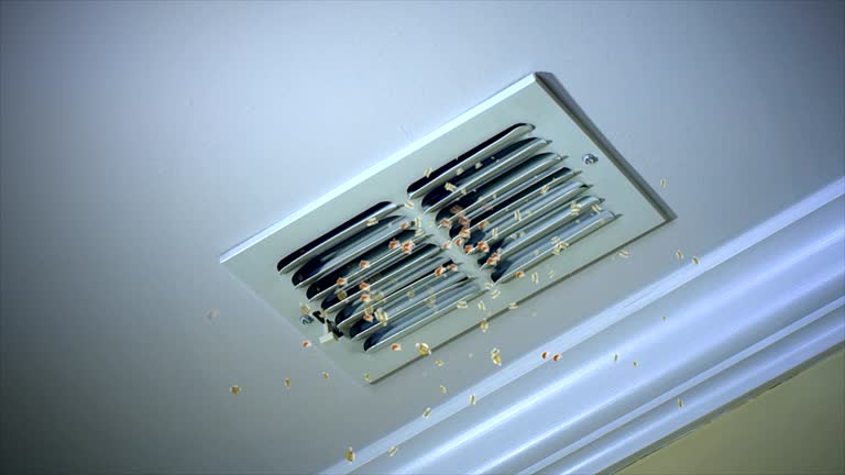 Best HVAC Duct Inspection Services  in Talty, TX